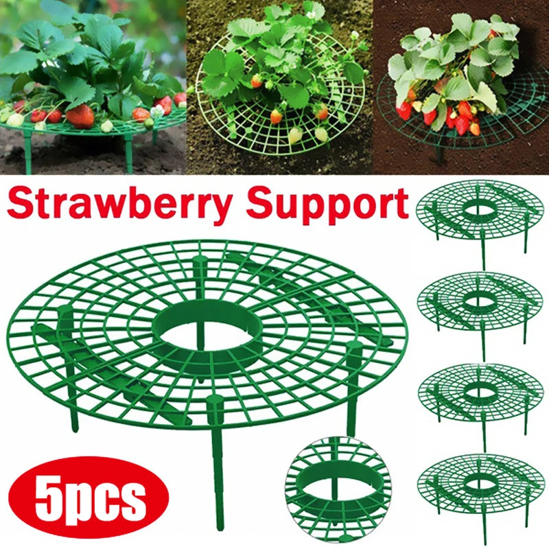 Strawberry Vine Rack 5 Pieces Gardening Tool for Healthy Plants