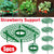 Strawberry Vine Rack 5 Pieces Gardening Tool for Healthy Plants