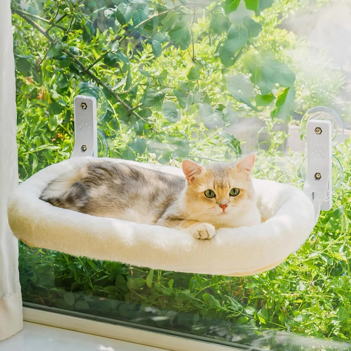 Foldable Cat Window Perch with Strong Suction Cups (Off White)