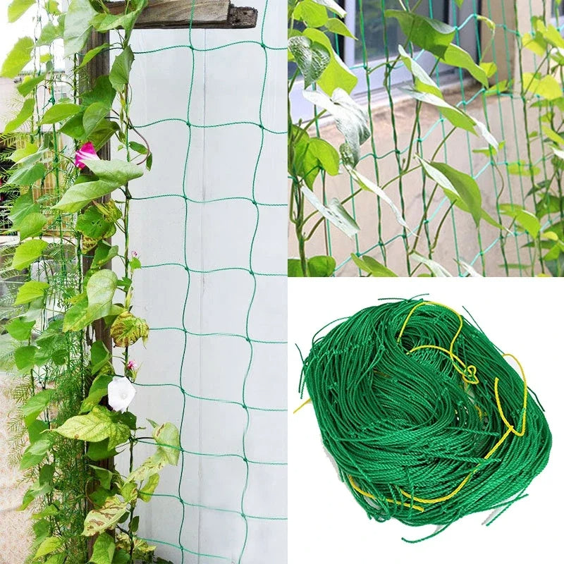 Outdoor Garden Support Netting for Vertical Gardening (18 Strands)