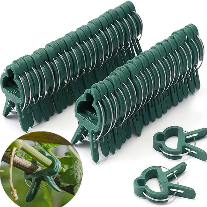 Reusable Plant Support Clips 10 Pieces for Tomato & Vine Gardening (Small)