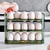 Egg Storage Box Refrigerator Organizer Food Containers (Green)