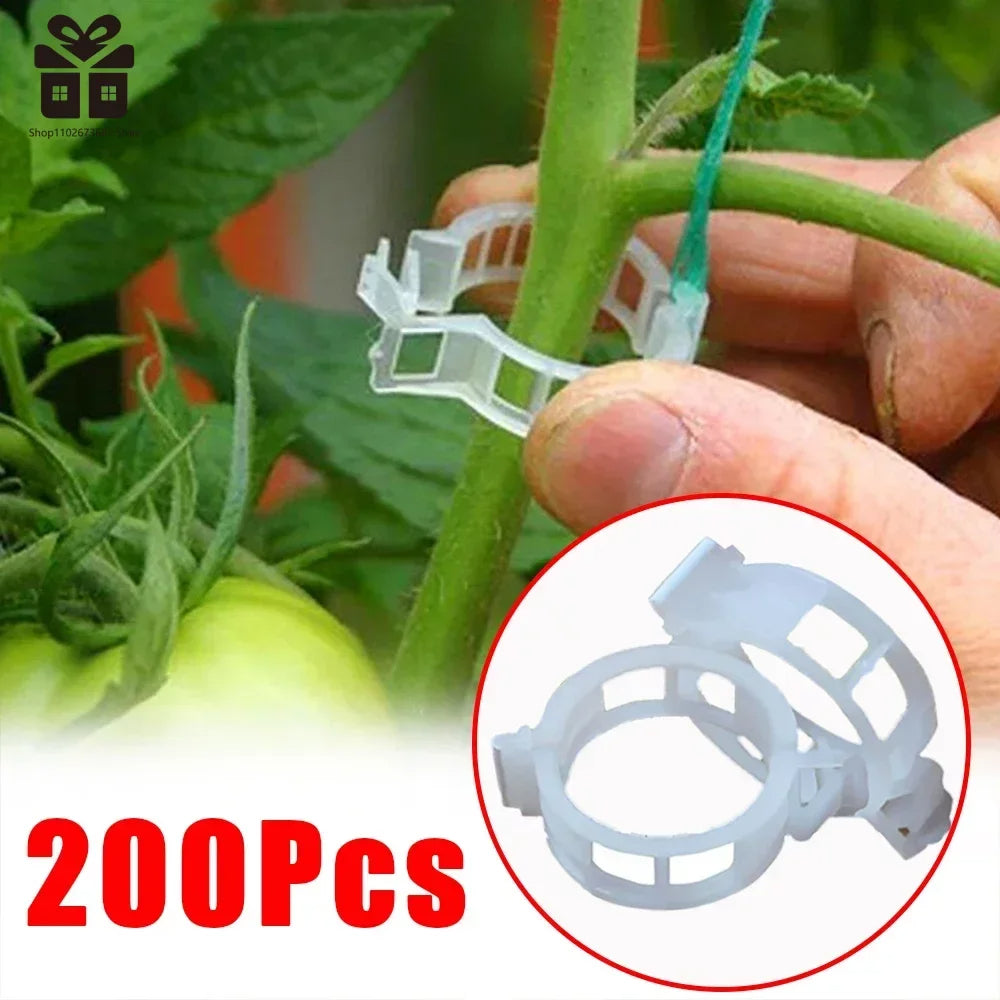 Reusable Vine Protection Clips 50 Piece for Tomato & Vegetable Plants (Transparent)