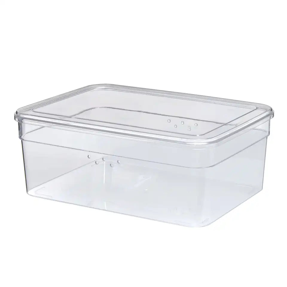 Transparent Extra-Wide Shoe Box Glossy Plastic with Lid