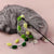 Cat Teaser Wand with Feather and Bell Toy (Green)