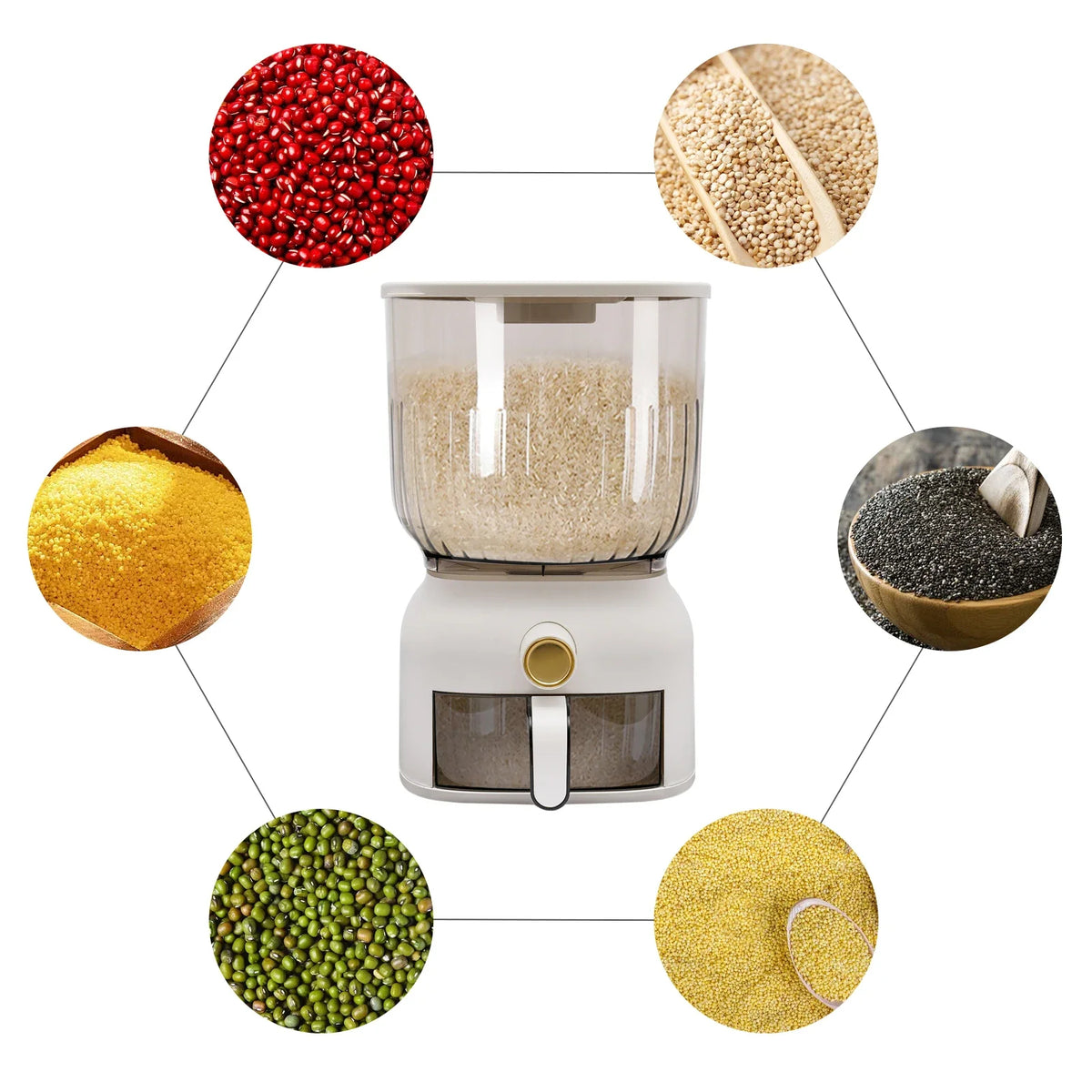 Airtight 22LB Rice Dispenser – Large Capacity Sealed Grain Storage Container and Food Organizer with Rice Measuring Cup