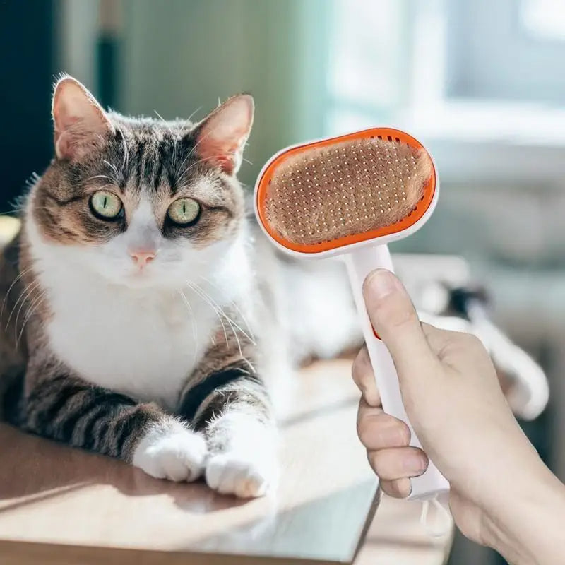 Pet Grooming Self Cleaning Brush for Cats & Dogs (Blue)