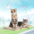 Hanging Cat Bed Pet Cat Hammock Aerial Cats Bed House Kitten Climbing Frame (Khaki)