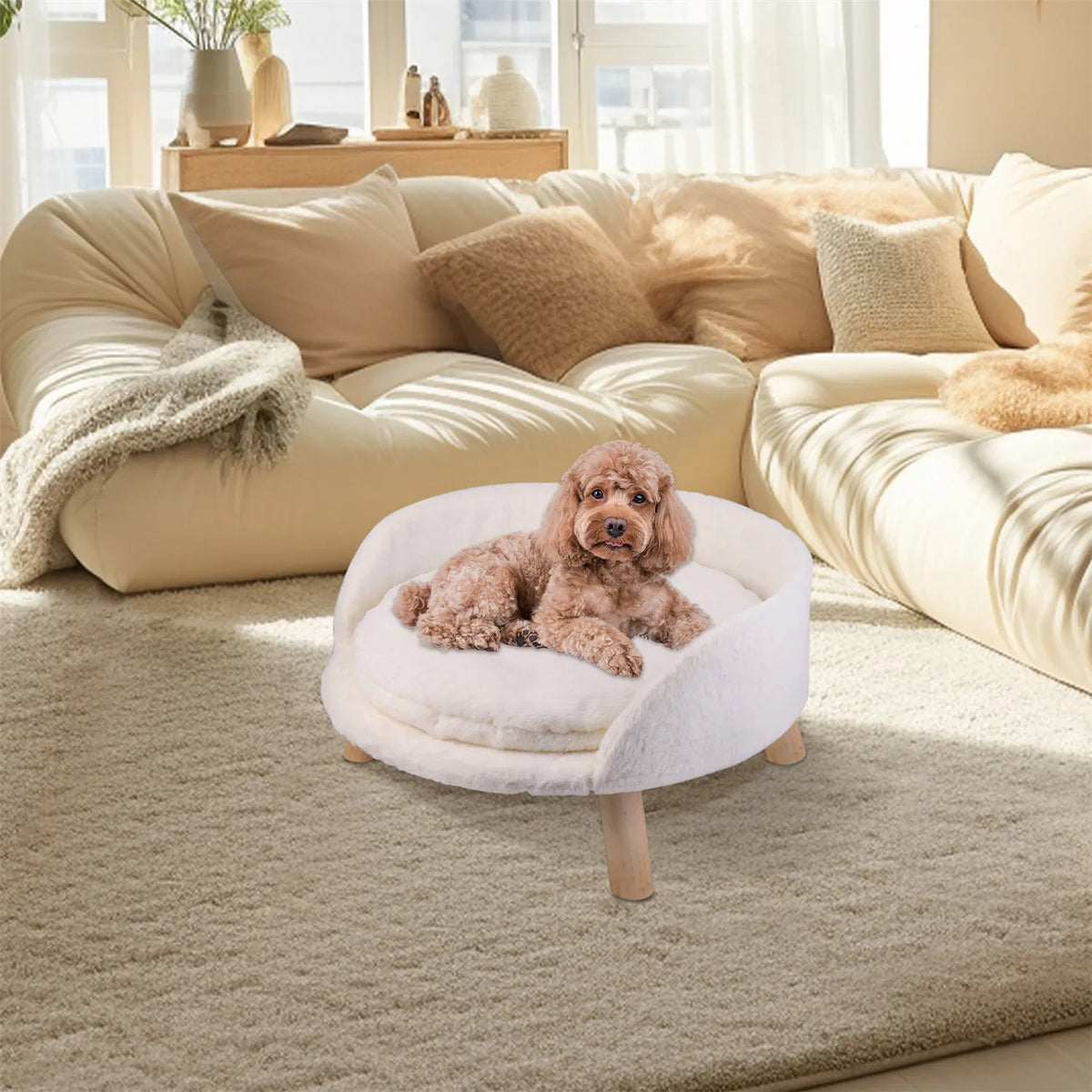 Raised Pet Sofa Bed with Removable Cushion For Cats &amp; Small Dogs