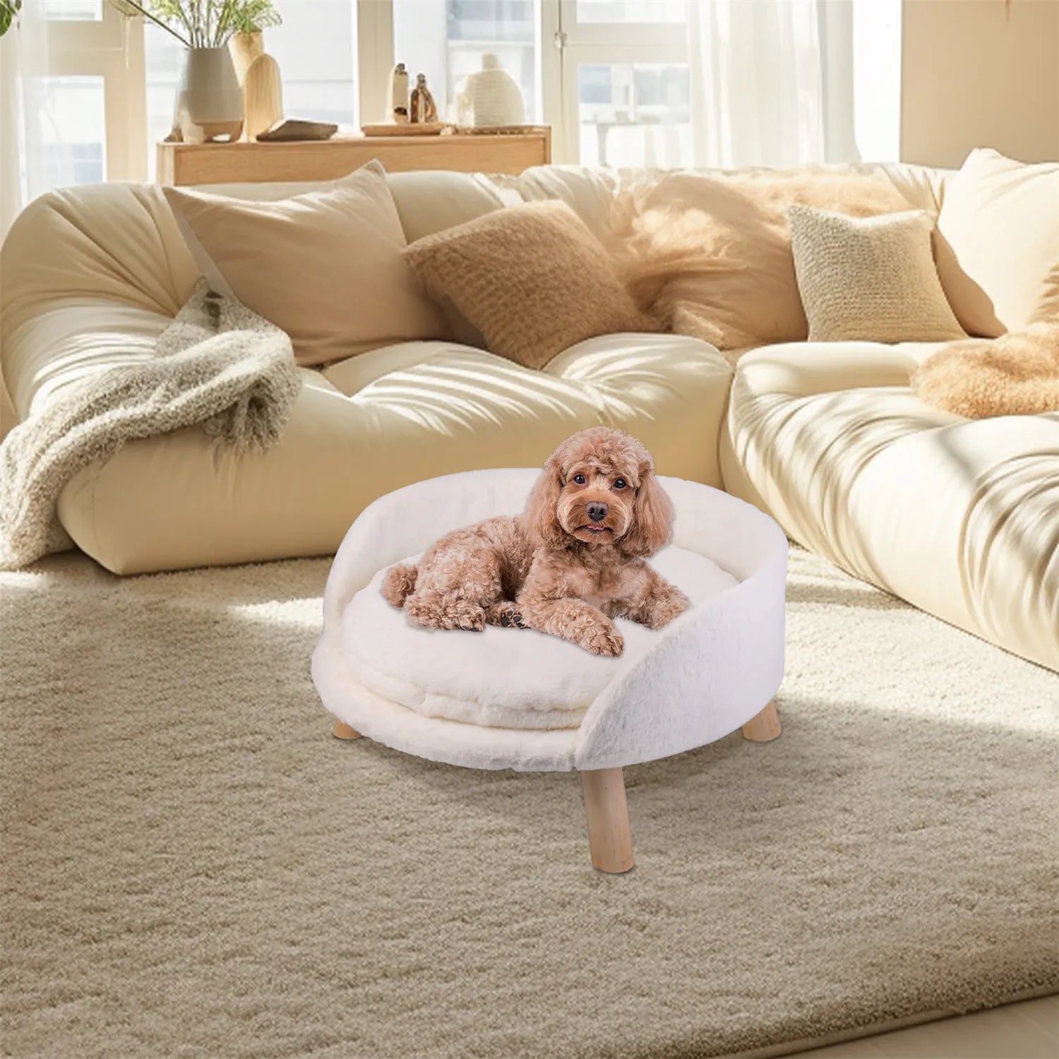 Raised Pet Sofa Bed with Removable Cushion For Cats & Small Dogs