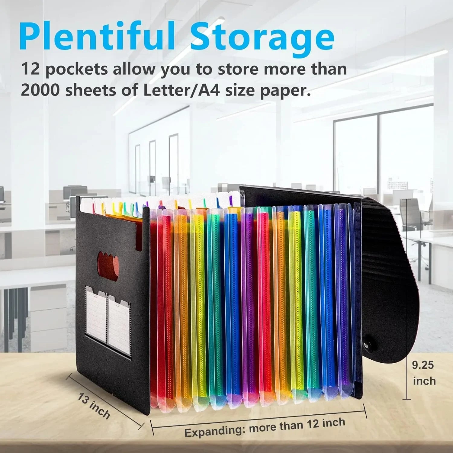 Portable 12-Pocket Expandable File Folder Organizer (Black)