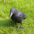 Realistic Raven Statue 1 Piece Outdoor Garden Decoration