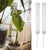 Plastic Moss Pole Plant Trellis 1 Piece Indoor Plant Pot Stand (White)