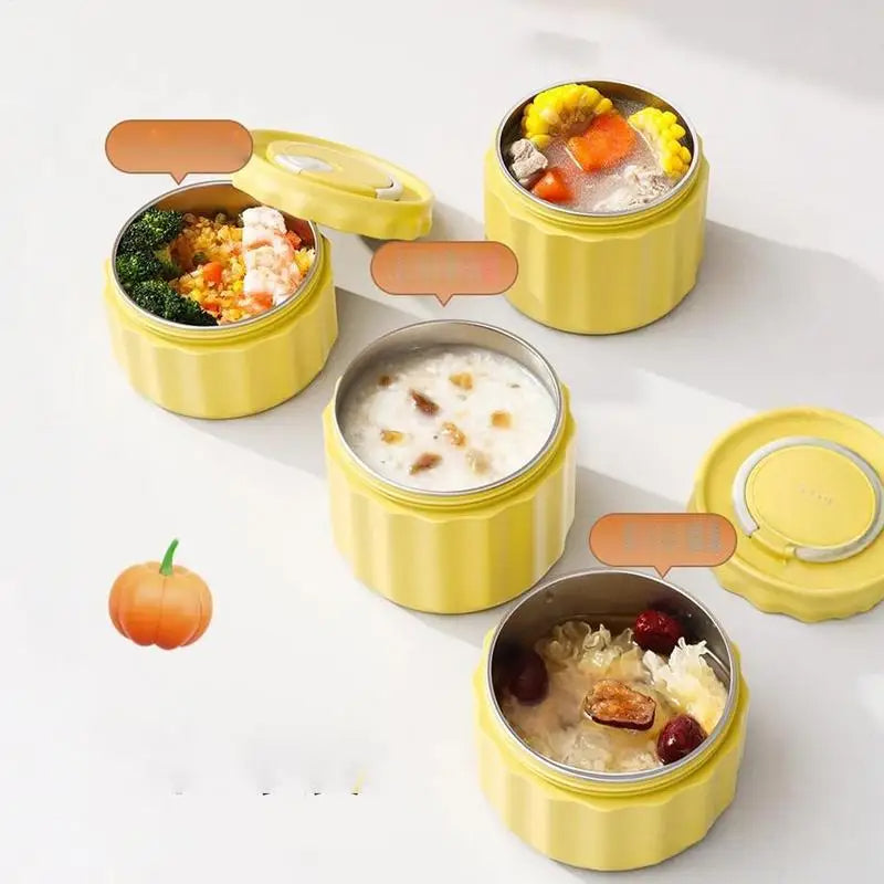 Stainless Steel Lunch Box with Insulated Bag and Utensils