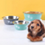 Non-slip Dog Bowls Stainless Steel Pet Feeders 400ML for (Gray)