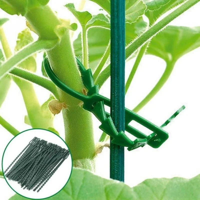 50pcs Adjustable Plastic Plant Cable Ties for Garden Tree Climbing Support Plant (Random Color)