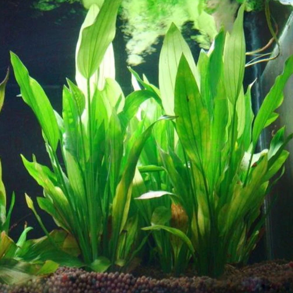 Realistic Grass Ornament Underwater Plant Decor Fish Tank Accessories