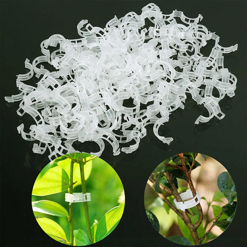 Plant Clips Supports Reusable Plastic Connects 50 Pieces Vegetable Plants Orchard and Garden Tools