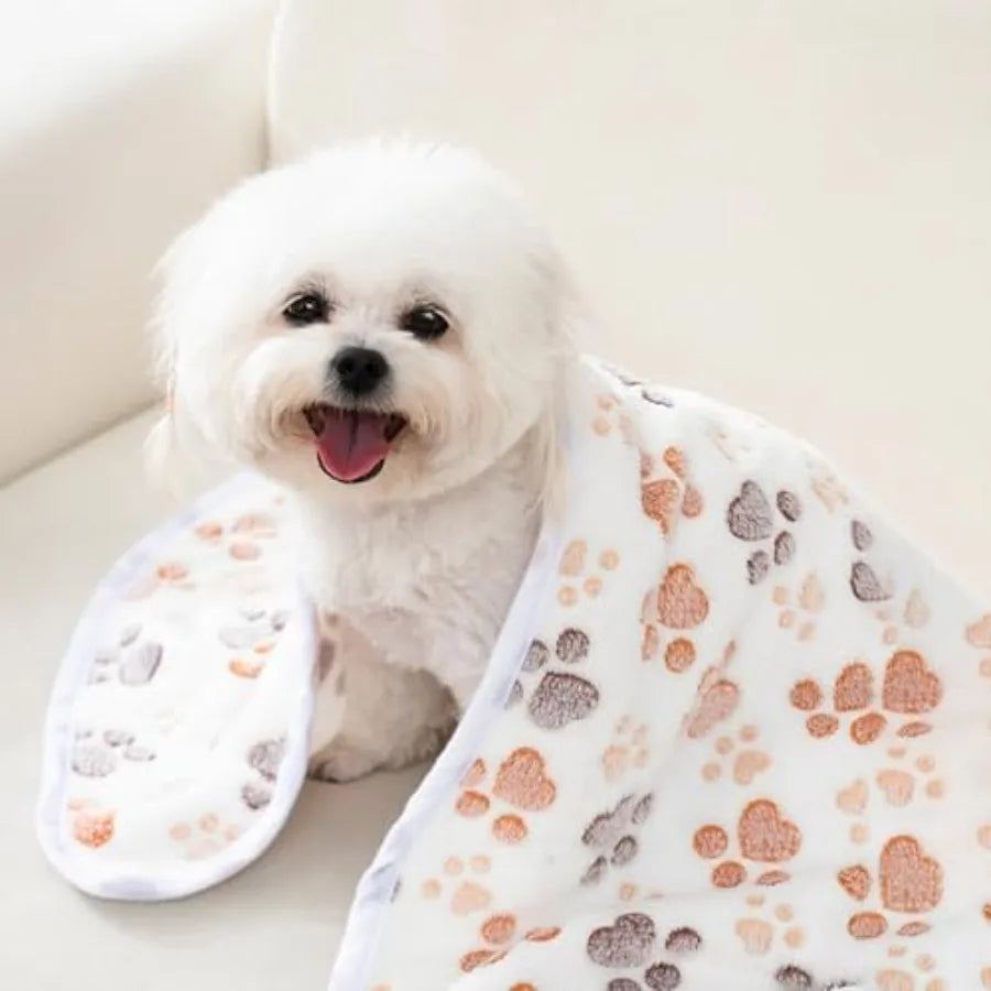 Paw Print Pet Fleece Blankets, 12-Pack