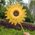 Sunflower Windmill Wind Turbine 1 Pack Outdoor Garden Decoration (Yellow)