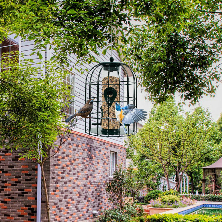 Squirrel Proof Bird Feeder Metal Cage for Backyards