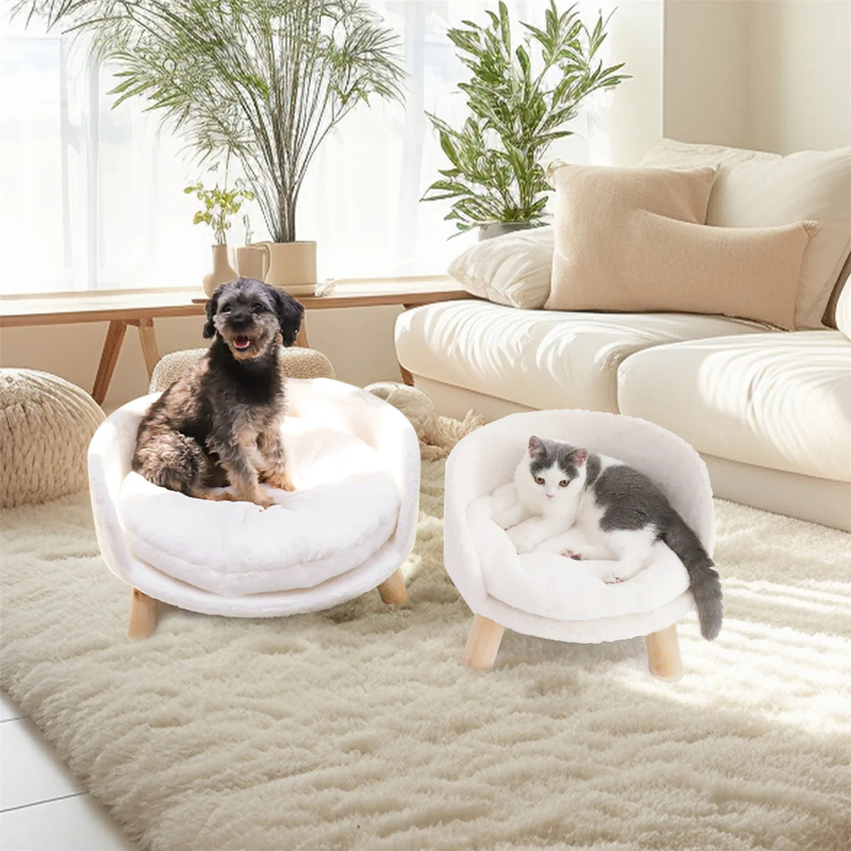 Raised Pet Sofa Bed with Removable Cushion For Cats &amp; Small Dogs