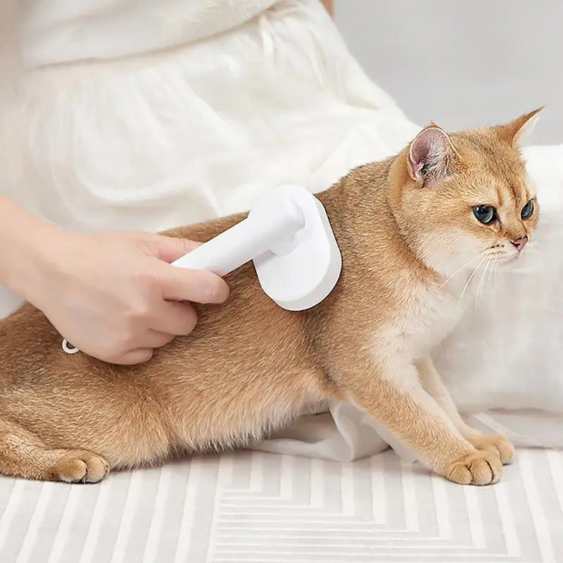 Pet Grooming Self Cleaning Brush for Cats &amp; Dogs (Blue)