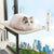 Breathable Cat Windowsill Bed for Kittens and Cats (Beige)