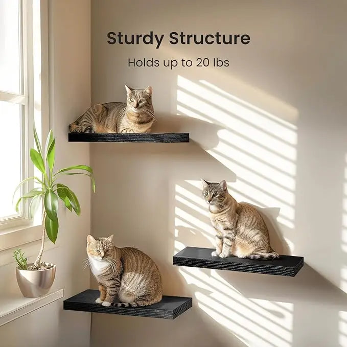 Set of 3 Floating Wall Shelves with Invisible Brackets (Black)