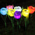 Outdoor Garden Stake Lights, 1 Piece Solar Tulip Lights LED Landscape (Red)