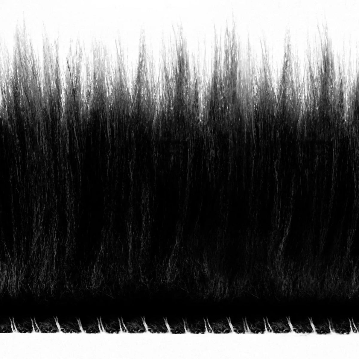 Faux Plush Soft Area Rug 4x6FT for Living Room (Black)