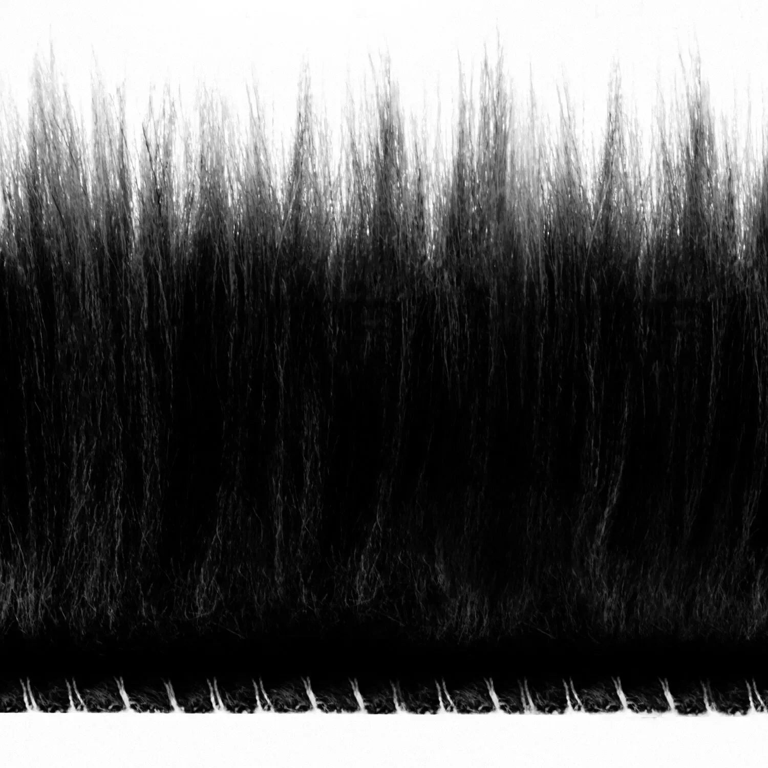 Faux Plush Soft Area Rug 4x6FT for Living Room (Black)