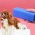 Silicone Dog Hair Brush Remover Cars Furniture Carpet Clothes Cleaner (Blue)