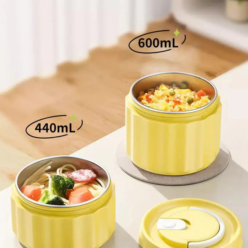 Stainless Steel Lunch Box with Insulated Bag and Utensils