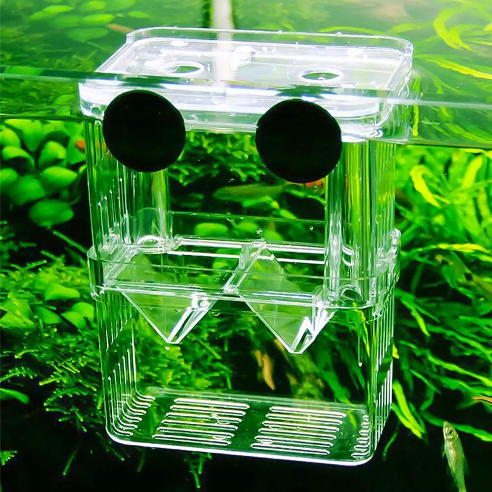 Durable Betta Fish Tank Fish Breeding Isolation Box