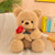 Valentines Day Teddy Bear Plush Toy Decor 25Cm (Khaki)