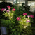 Solar Powered Flower Lights 1PCs for Outdoor Decor (Red Series)