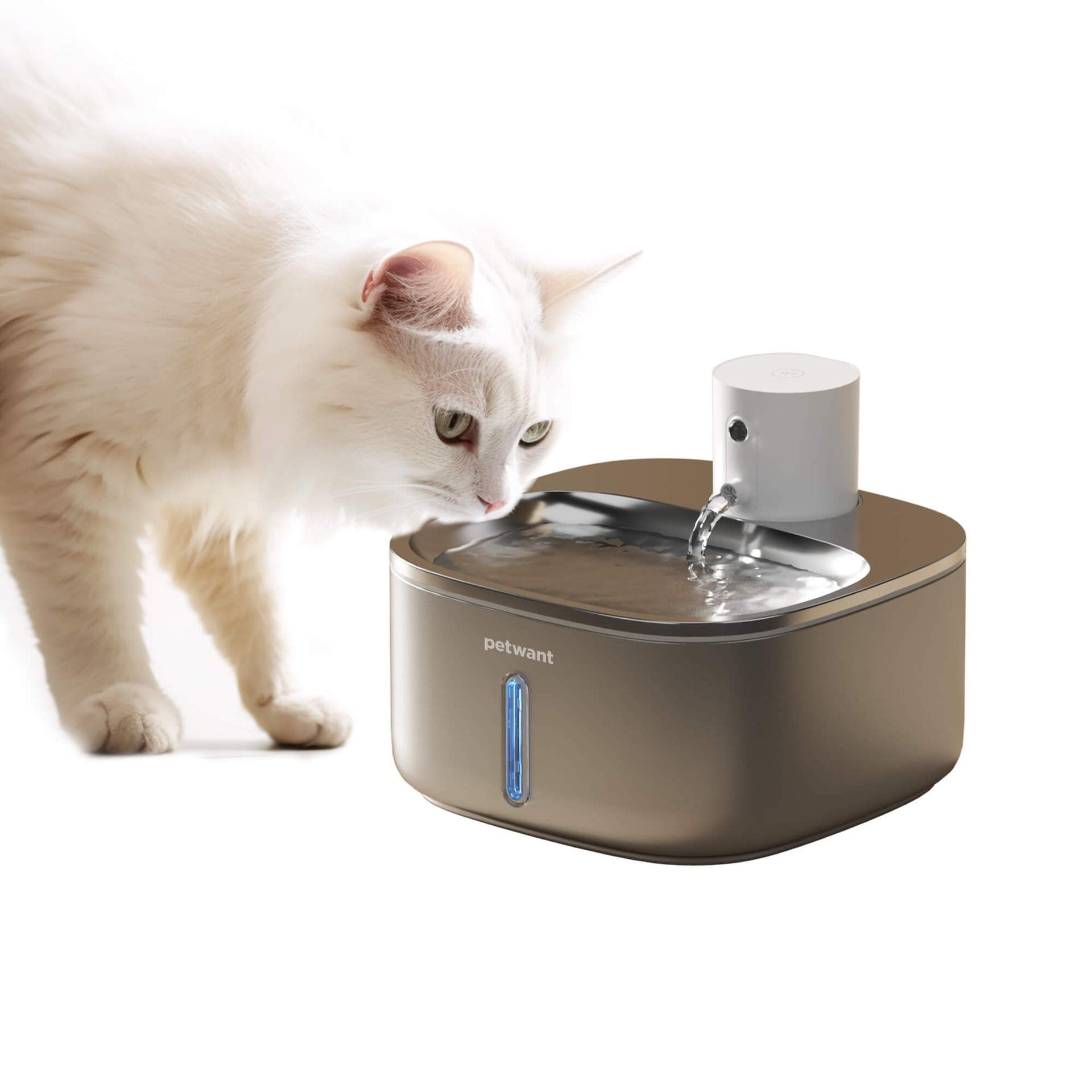 3.2L Large Capacity Stainless Steel Pet Water Dispenser