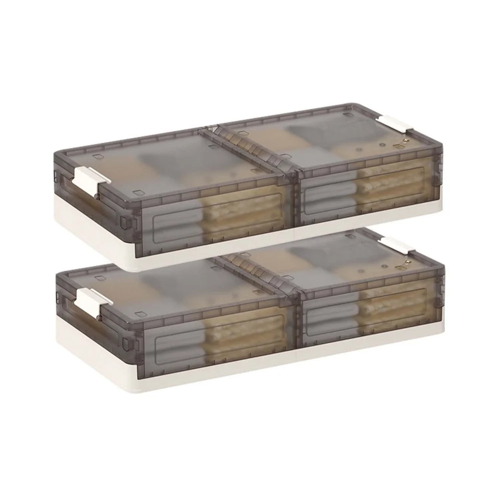 Plastic Under-Bed Storage Containers with Lids (Set of 2)