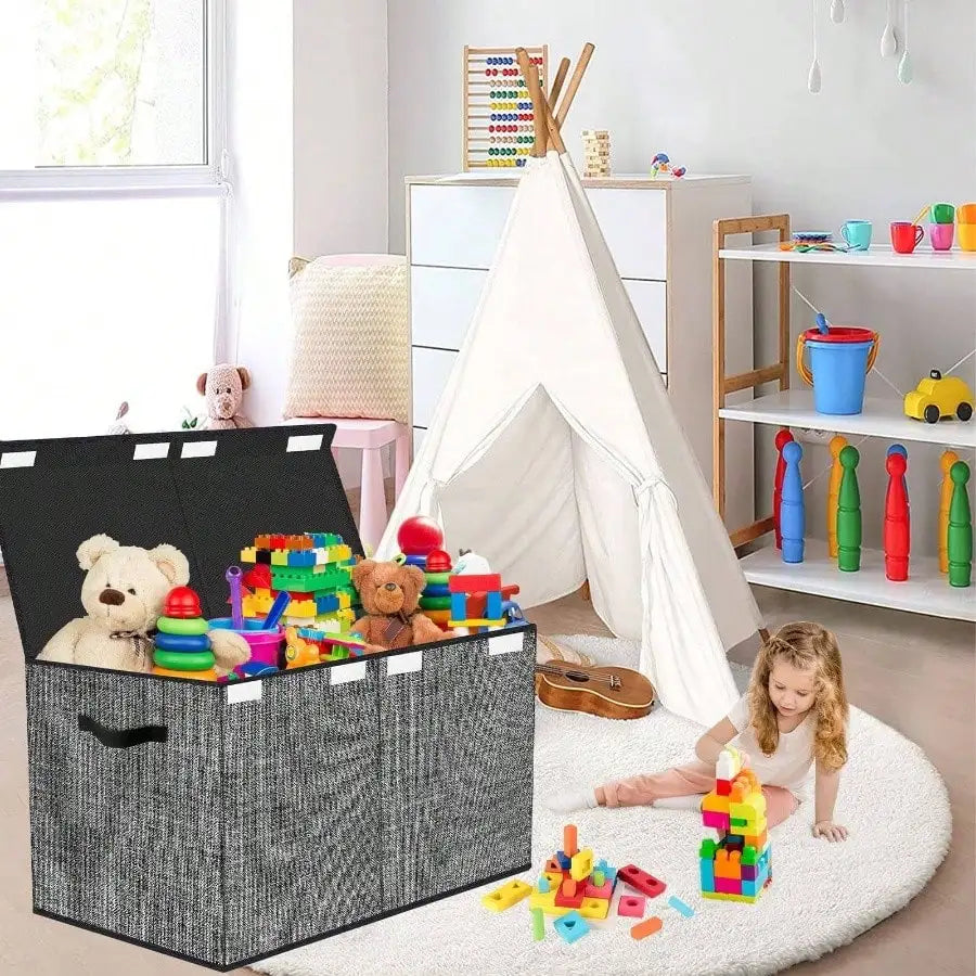 Storage Organizer 30L Capacity Collapsible Toy Chest with Lid (Light Black)