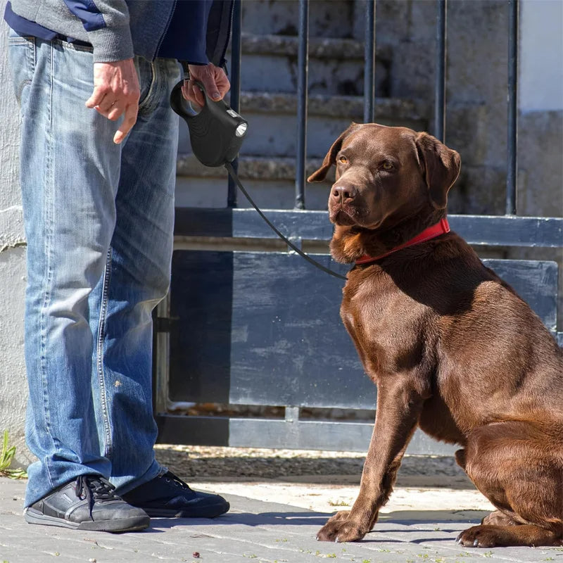 Automatic Retractable Dog Leash for Walking (Red)