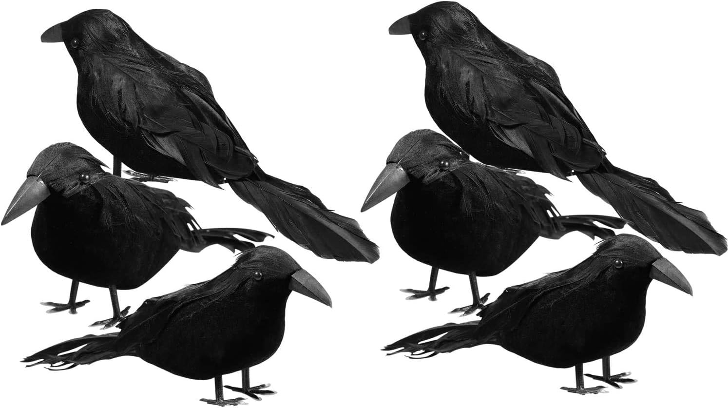 Black Feathered Crows 6 Pack Halloween Decorations Realistic Bird Halloween