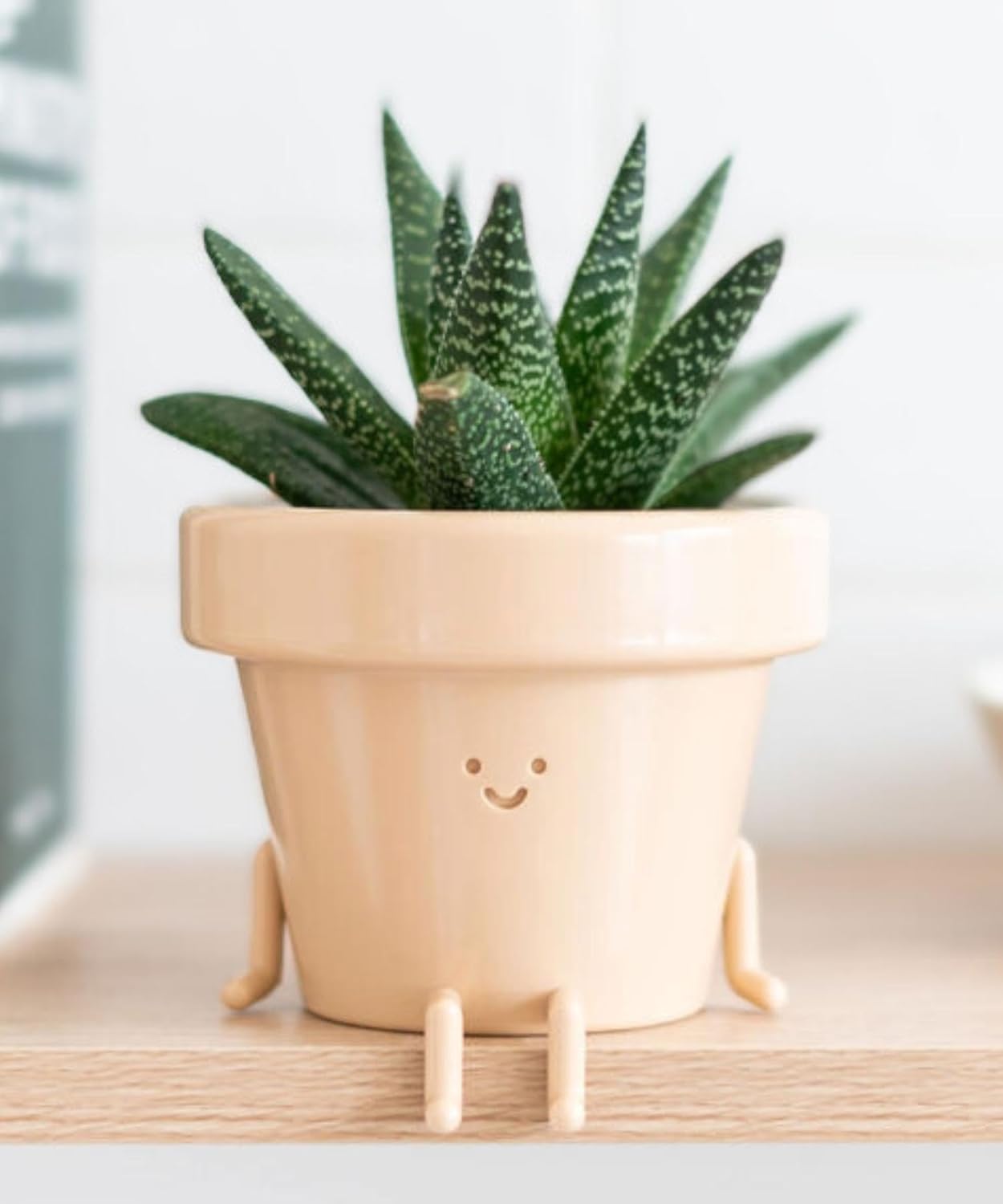 3.5" Face Flower Pot - Indoor Plant Pot with Unique Charm