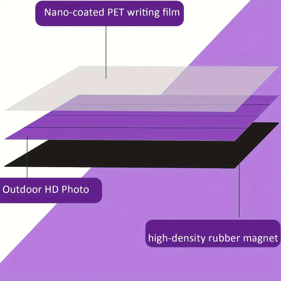 Reusable Dry Erase Lined Boards 12PCS Learning Tool for Students Teachers