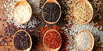 Large Capacity Dry Food Dispenser with Measuring Cup (Grey)