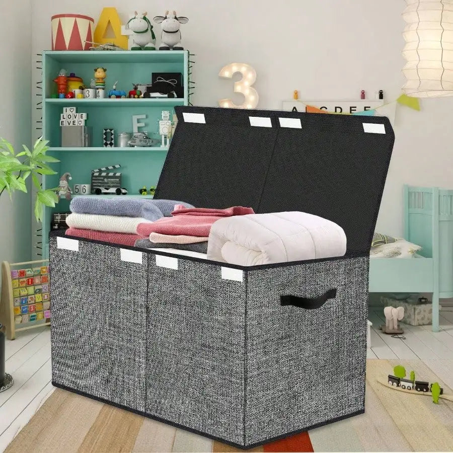 Storage Organizer 30L Capacity Collapsible Toy Chest with Lid (Light Black)