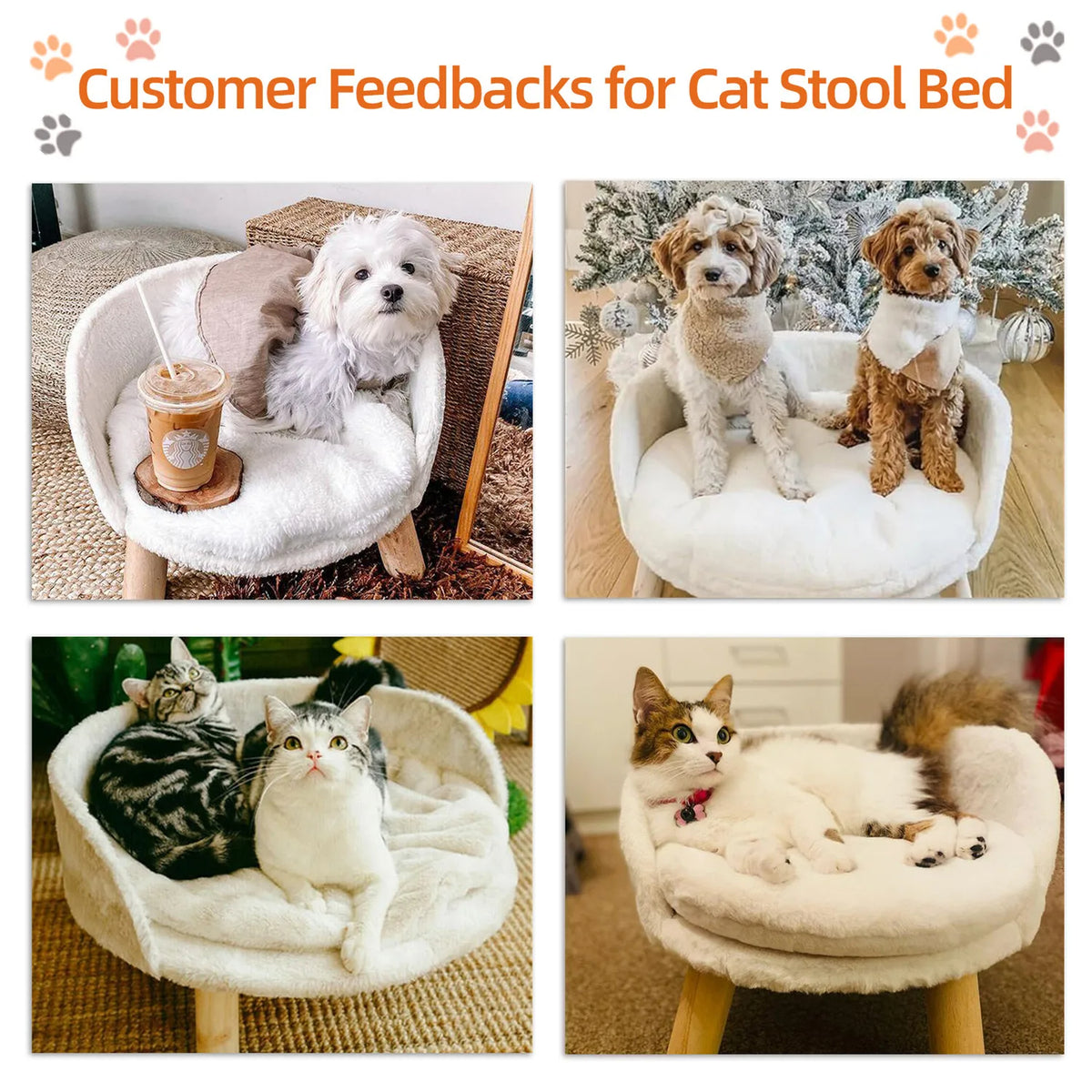 Raised Pet Sofa Bed with Removable Cushion For Cats &amp; Small Dogs