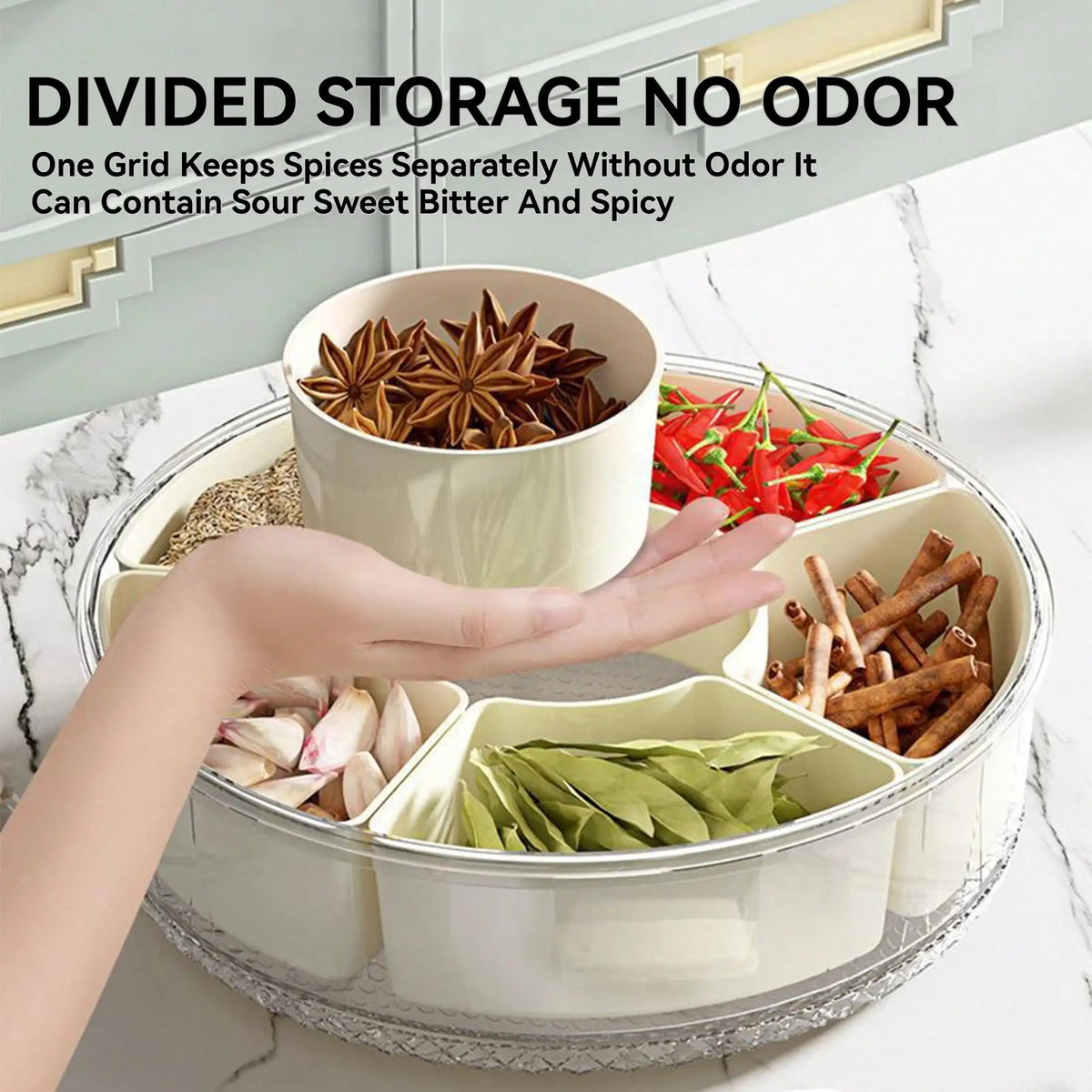 Rotating Divided Serving Tray with Lid &amp; Handle