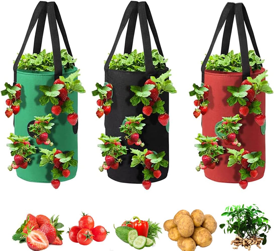 Plant Grow Bag 3 Gallon for Strawberry Vegetables 12 Planting Holes