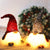 12" Gnome Lighted Christmas Set of 2 Decoration